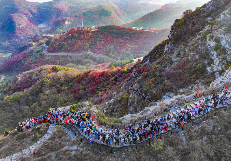 如何打造一个成功的旅游度假区?这个问题的答案多种多样,但今天我们将通过几个关键维度进行对比分析,帮助你找到适合自己的解决方案。