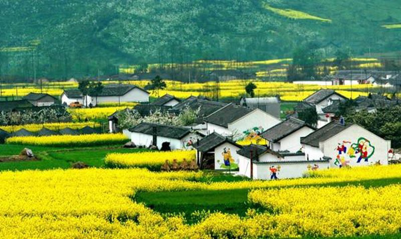 乡村旅游开发:探索农村振兴的新路径